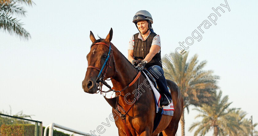 Mubtaahij-0002 
 MUBTAAHIJ exercising in preparation for The Dubai World Cup at Meydan 29 Mar 2018 - Pic Steven Cargill / Racingfotos.com