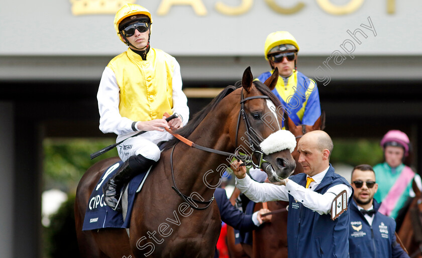 Sunway-0002 
 SUNWAY (James Doyle)
Ascot 27 Jul 2024 - Pic Steven Cargill / Racingfotos.com