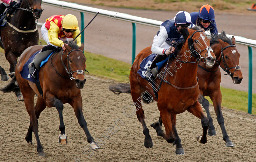 Hasanoanda-0008 
 HASANOANDA (centre, Robert Havlin) beats AMBIENT (left) and CRAVING (right) in The 32Red.com Novice Median Auction Stakes Lingfield 6 Jan 2018 - Pic Steven Cargill / Racingfotos.com