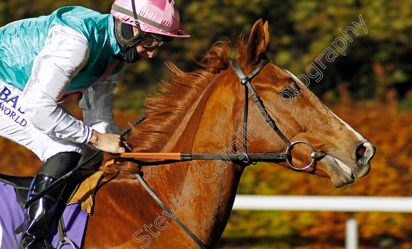 Maytal-0002 
 MAYTAL (Tom Marquand)
Kempton 11 Nov 2020 - Pic Steven Cargill / Racingfotos.com