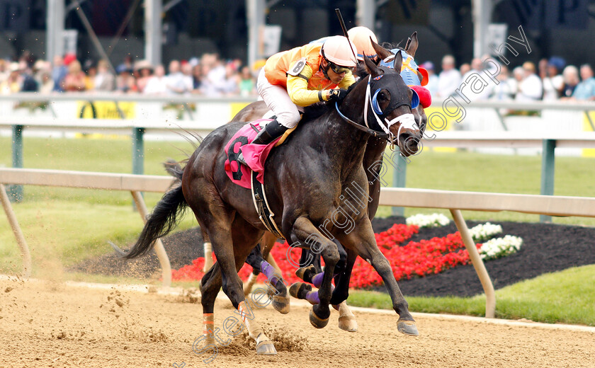 Eifs-0003 
 EIFS (Jevian Toledo) wins Maiden 
Pimlico 17 May 2019 - Pic Steven Cargill / Racingfotos.com