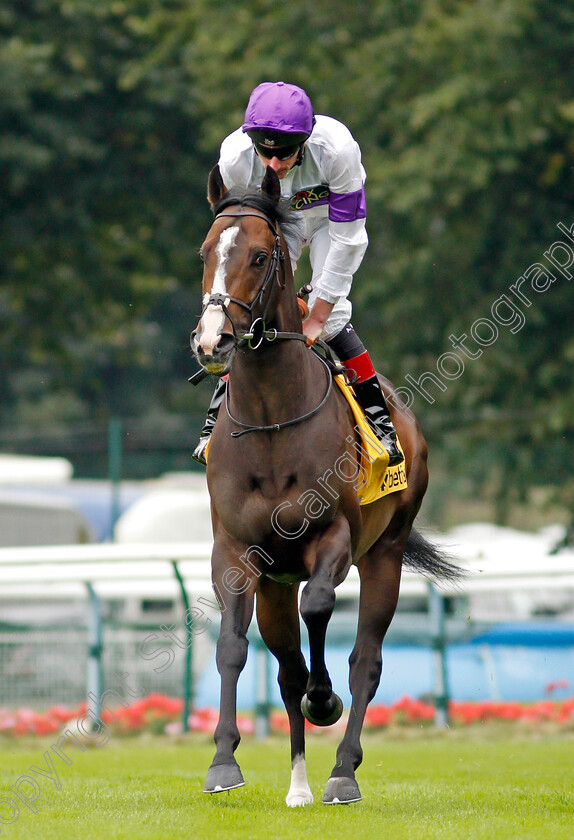 Supremacy-0001 
 SUPREMACY (Adam Kirby)
Haydock 4 Sep 2021 - Pic Steven Cargill / Racingfotos.com