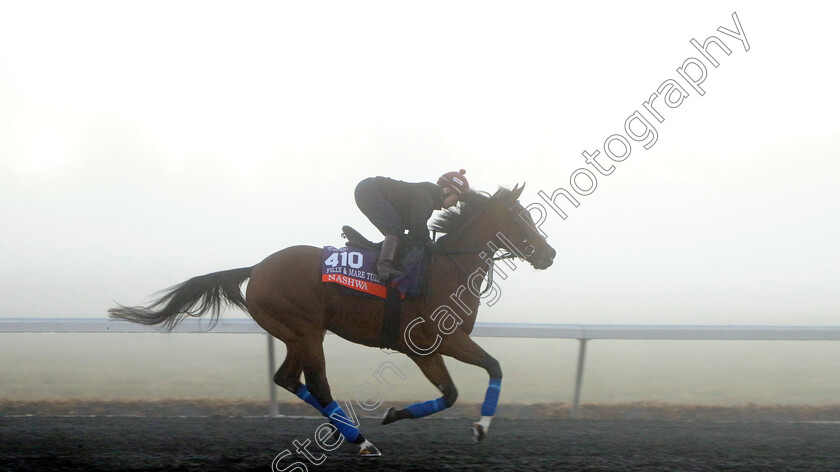 Nashwa-0002 
 NASHWA (Hollie Doyle) training for the Breeders' Cup Filly & Mare Turf
Keeneland USA 3 Nov 2022 - Pic Steven Cargill / Racingfotos.com