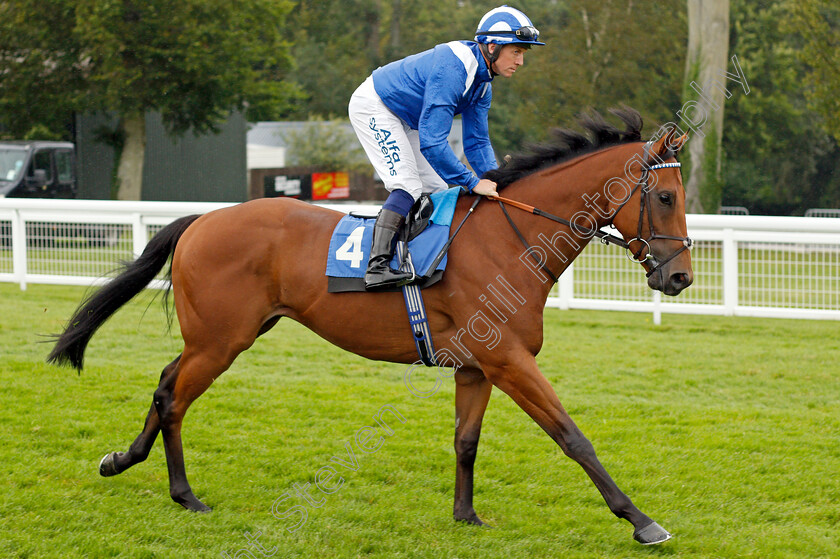 Tawaazon-0001 
 TAWAAZON (Jim Crowley)
Salisbury 12 Aug 2021 - Pic Steven Cargill / Racingfotos.com