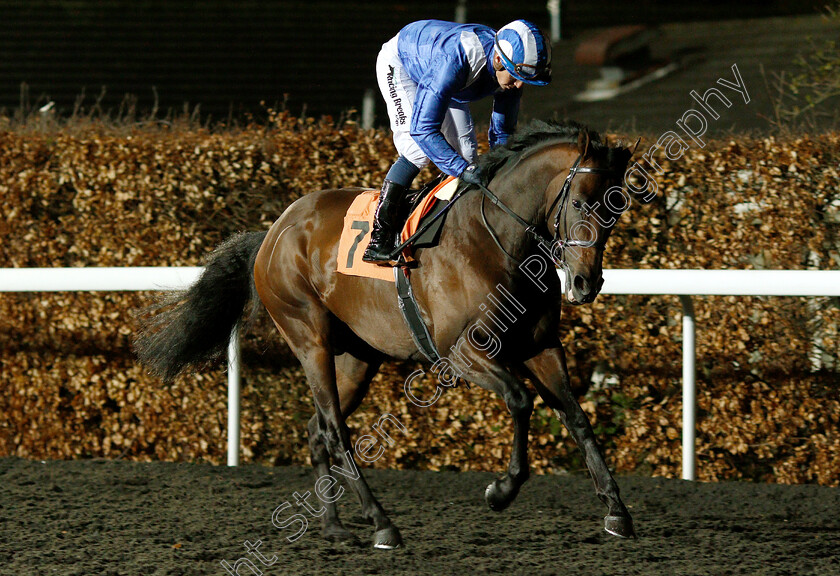 Jahbath-0004 
 JAHBATH (Jim Crowley) before The Road To The Kentucky Derby Stakes
Kempton 6 Mar 2019 - Pic Steven Cargill / Racingfotos.com