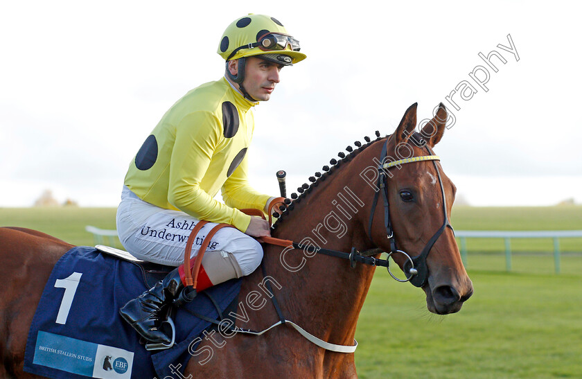 Almohandesah 
 ALMOHANDESAH (Andrea Atzeni)
Newmarket 30 Oct 2021 - Pic Steven Cargill / Racingfotos.com