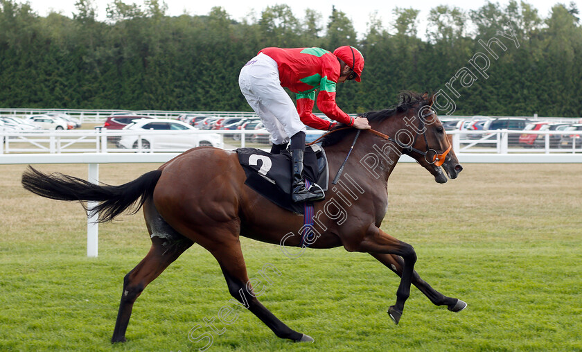 D-Day-0006 
 D DAY (James Doyle) wins The Mildmay Farm And Stud Novice Median Auction Stakes Div2
Newbury 6 Aug 2019 - Pic Steven Cargill / Racingfotos.com