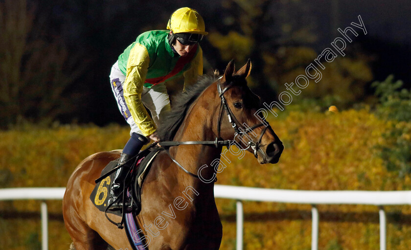 La-Cadalora-0001 
 LA CADALORA (Daniel Muscutt)
Kempton 15 Nov 2023 - Pic Steven Cargill / Racingfotos.com