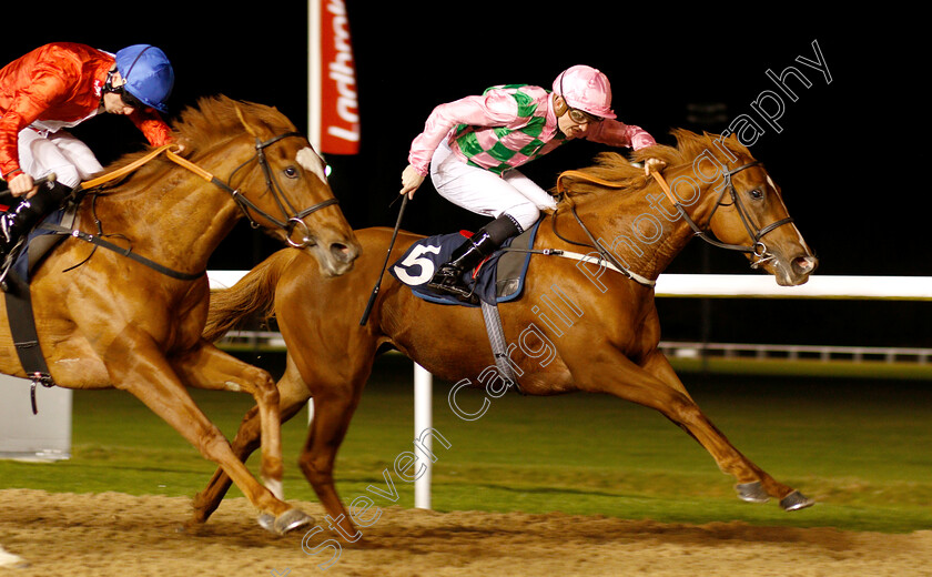 Engrossed-0005 
 ENGROSSED (Rob Hornby) wins The Ladbrokes Home Of The Odds Boost Fillies Novice Stakes Div2
Wolverhampton 10 Dec 2018 - Pic Steven Cargill / Racingfotos.com