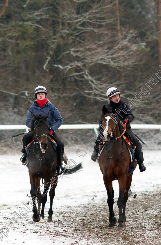 Newmarket-Snow-0011 
 Racehorses training in the snow at Newmarket
1 Feb 2019 - Pic Steven Cargill / Racingfotos.com