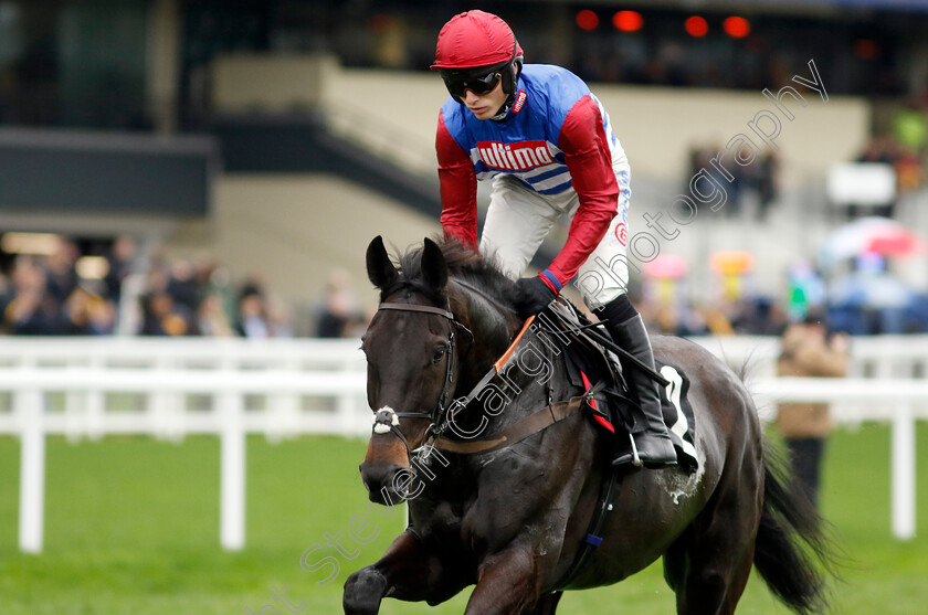 Inthewaterside-0002 
 INTHEWATERSIDE (Harry Cobden)
Ascot 17 Feb 2024 - Pic Steven Cargill / Racingfotos.com