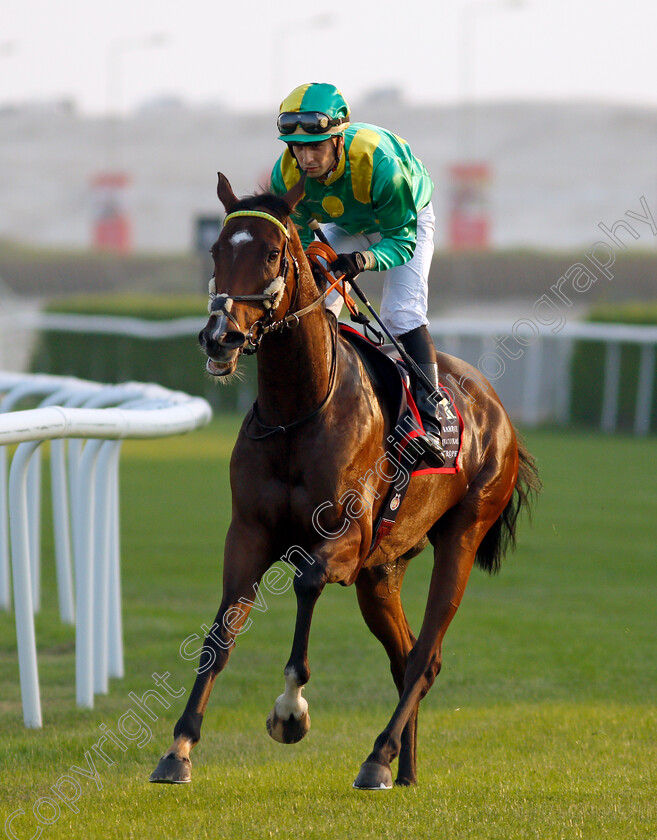 Penja-0002 
 PENJA (Cristian Demuro)
Sakhir Racecourse, Bahrain 19 Nov 2021 - Pic Steven Cargill / Racingfotos.com