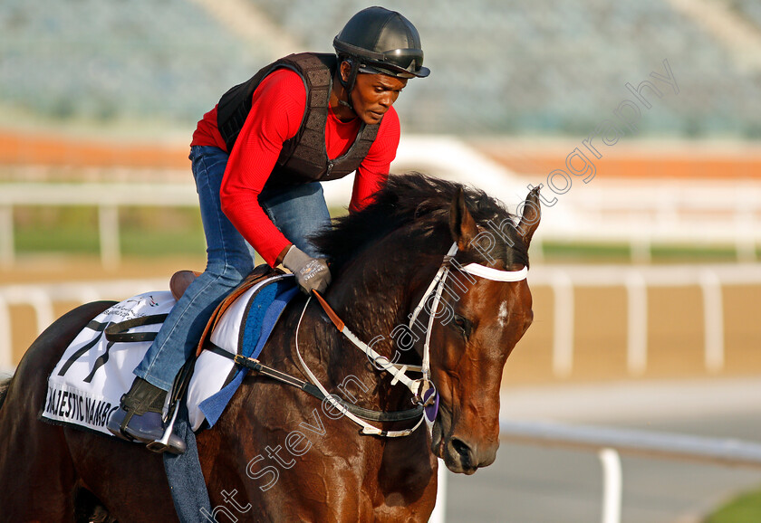 Majestic-Mambo-0002 
 MAJESTIC MAMBO exercising for trainer Mike de Kock
Meydan, Dubai, 3 Feb 2022 - Pic Steven Cargill / Racingfotos.com