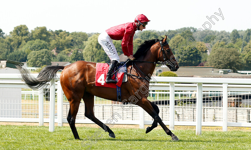 King-Of-Comedy-0002 
 KING OF COMEDY (Adam Kirby) before The Good Care Group British EBF Novice Stakes Div2
Sandown 6 Jul 2018 - Pic Steven Cargill / Racingfotos.com