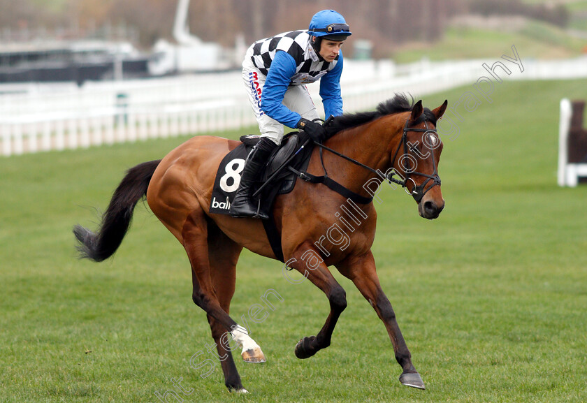 Supremely-Lucky-0001 
 SUPREMELY LUCKY (Harry Skelton)
Cheltenham 1 Jan 2019 - Pic Steven Cargill / Racingfotos.com