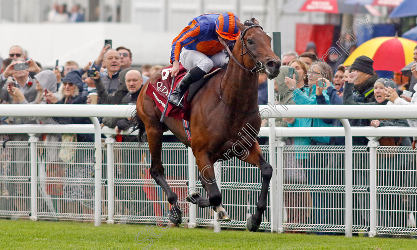 Paddington-0005 
 PADDINGTON (Ryan Moore) wins The Qatar Sussex Stakes
Goodwood 2 Aug 2023 - Pic Steven Cargill / Racingfotos.com