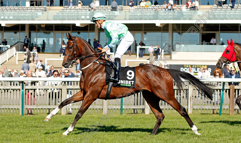 Adabbah-0001 
 ADABBAH (Pierre-Louis Jamin)
Newmarket 24 Sep 2021 - Pic Steven Cargill / Racingfotos.com