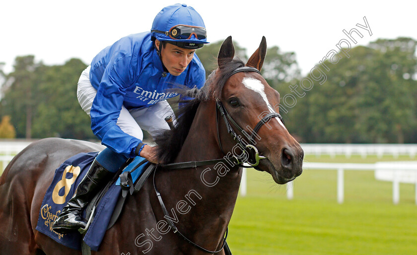 Law-Of-Peace-0002 
 LAW OF PEACE (William Buick)
Ascot 6 Sep 2019 - Pic Steven Cargill / Racingfotos.com