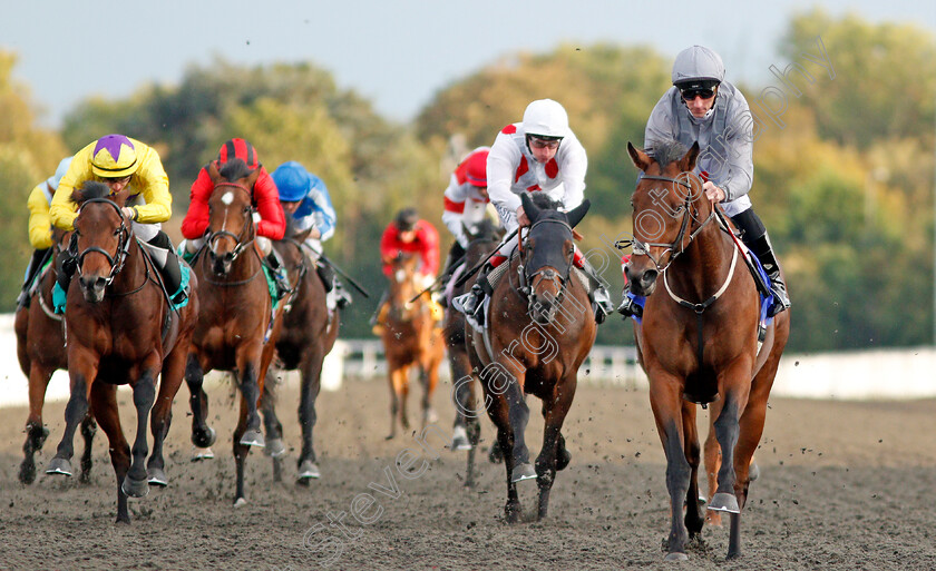 Higher-Kingdom-0003 
 HIGHER KINGDOM (Daniel Tudhope) wins The Close Brothers British Stallion Studs EBF Novice Stakes 
Kempton 9 Oct 2019 - Pic Steven Cargill / Racingfotos.com