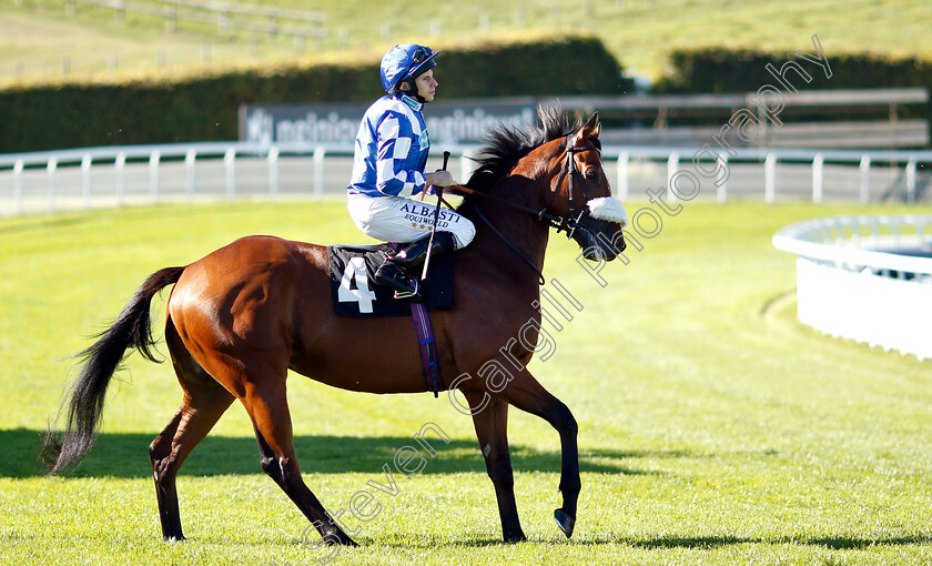 Iconic-Knight-0002 
 ICONIC KNIGHT (Ryan Moore)
Goodwood 26 Sep 2018 - Pic Steven Cargill / Racingfotos.com