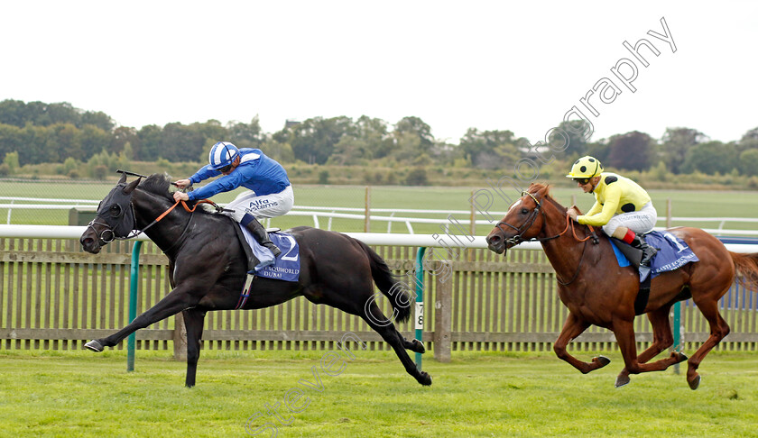 Mutasaabeq-0003 
 MUTASAABEQ (Jim Crowley) beats EL DRAMA (right) in The Al Basti Equiworld Dubai Joel Stakes
Newmarket 23 Sep 2022 - Pic Steven Cargill / Racingfotos.com