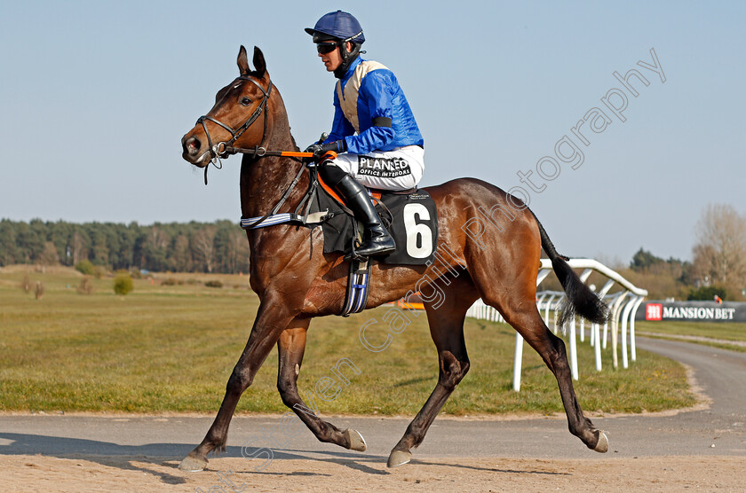 Tuned-For-Power-0002 
 TUNED FOR POWER (Lee Edwards)
Market Rasen 19 Apr 2021 - Pic Steven Cargill / Racingfotos.com