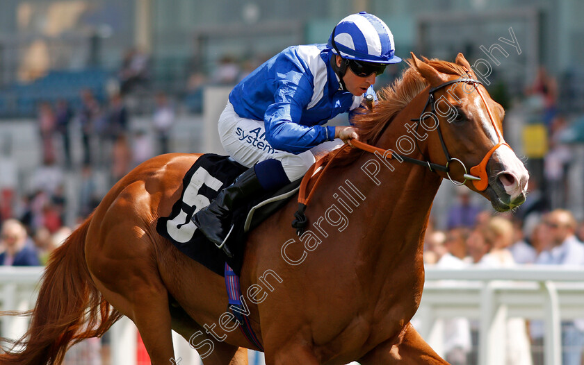 Ehraz-0006 
 EHRAZ (Jim Crowley) wins The Anders Foundation British EBF Crocker Bulteel Maiden Stakes
Ascot 23 Jul 2021 - Pic Steven Cargill / Racingfotos.com