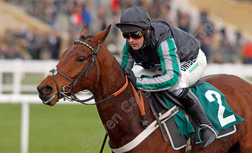 Pym-0007 
 PYM (Nico de Boinville) wins The International Decorative Surfaces Novices Chase
Cheltenham 13 Dec 2019 - Pic Steven Cargill / Racingfotos.com