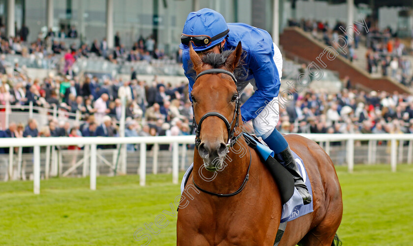 Flying-Honours-0001 
 FLYING HONOURS (William Buick)
York 18 May 2023 - Pic Steven Cargill / Racingfotos.com