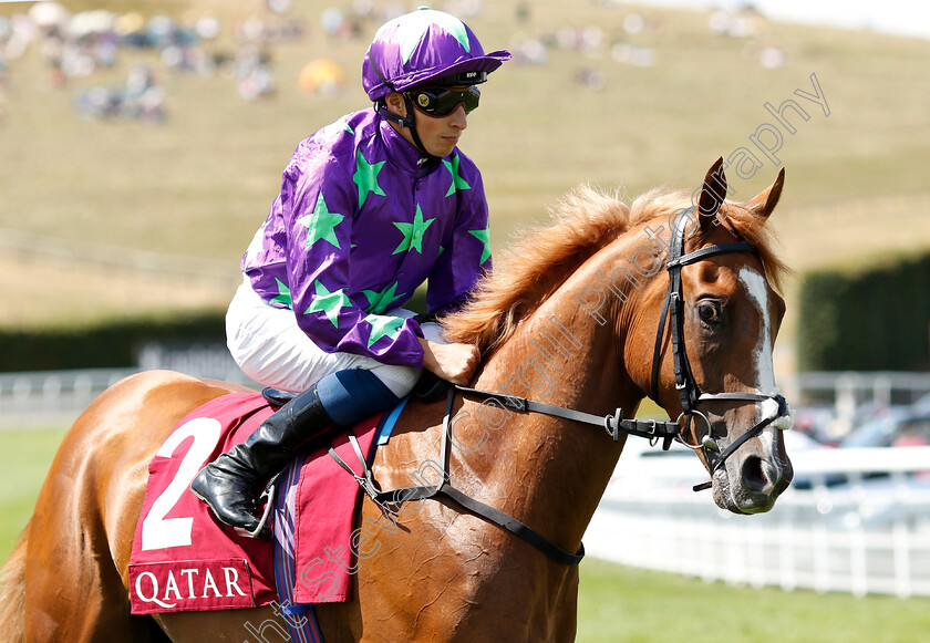 Blonde-Warrior-0002 
 BLONDE WARRIOR (William Buick)
Goodwood 31 Jul 2018 - Pic Steven Cargill / Racingfotos.com