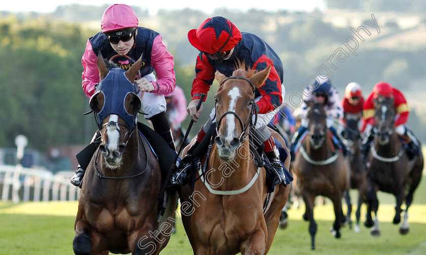 So-Near-So-Farhh-0007 
 SO NEAR SO FARHH (right, Franny Norton) beats JACOB CATS (left) in The comparebettingsites.com Handicap
Chepstow 2 Jul 2019 - Pic Steven Cargill / Racingfotos.com