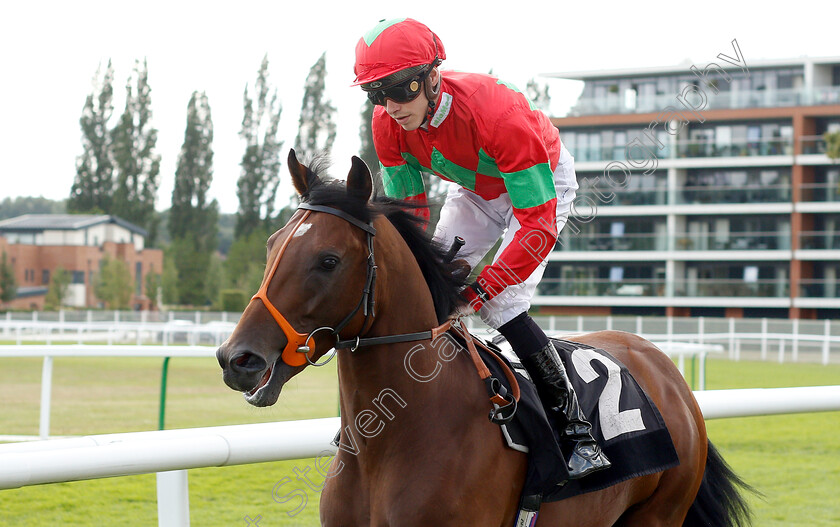 D-Day-0001 
 D DAY (James Doyle) winner of The Mildmay Farm And Stud Novice Median Auction Stakes Div2
Newbury 6 Aug 2019 - Pic Steven Cargill / Racingfotos.com