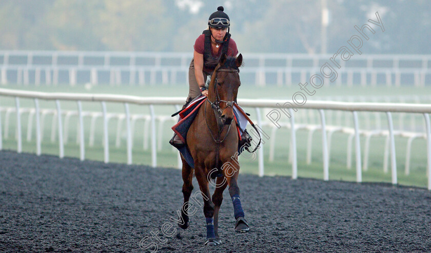 East-Asia-0002 
 EAST ASIA training for the Dubai Gold Cup
Meydan, Dubai, 22 Mar 2022 - Pic Steven Cargill / Racingfotos.com