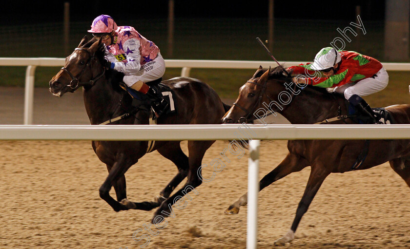 Miss-M-0002 
 MISS M (Martin Dwyer) beats HALDAW (right) in The Bet totewin at Betfred.com Handicap Div1 Chelmsford 12 Oct 2017 - Pic Steven Cargill / Racingfotos.com