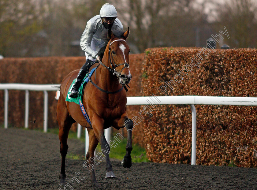 Mount-Marcy-0001 
 MOUNT MARCY (James Doyle)
Kempton 31 Mar 2021 - Pic Steven Cargill / Racingfotos.com