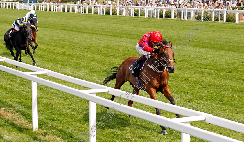 Dreamloper-0002 
 DREAMLOPER (Oisin Muprhy) wins The British Racecourses Join Sunflower Lanyard Scheme Valiant Stakes
Ascot 23 Jul 2021 - Pic Steven Cargill / Racingfotos.com