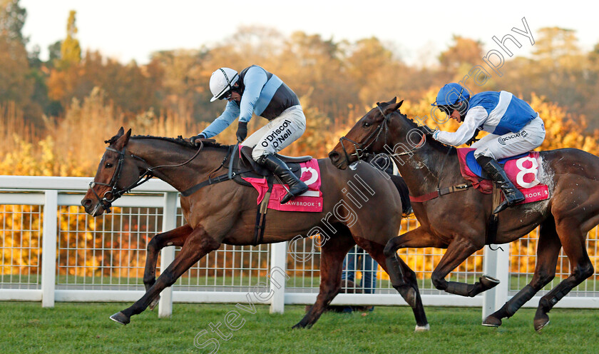 Sir-Valentino-0004 
 SIR VALENTINO (J J Burke) beats CEPAGE (right) in The Shawbrook Handicap Chase Ascot 25 Nov 2017 - Pic Steven Cargill / Racingfotos.com