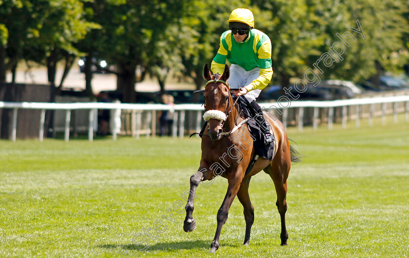 Achillea-0001 
 ACHILLEA (Charlie Bennett)
Newmarket 9 Jul 2022 - Pic Steven Cargill / Racingfotos.com