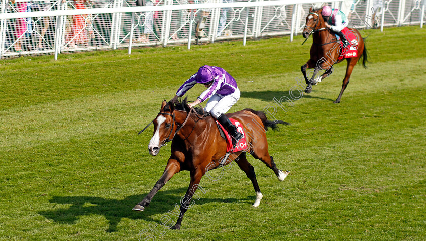 Point-Lonsdale-0004 
 POINT LONSDALE (Ryan Moore) wins The tote.co.uk Supporting Racing Ormonde Stakes
Chester 9 May 2024 - Pic Steven Cargill / Racingfotos.com