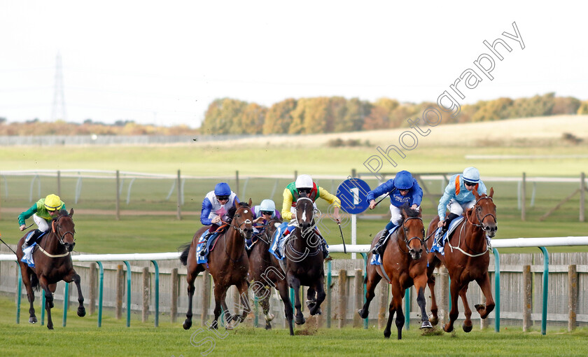 Flying-Honours-0008 
 FLYING HONOURS (William Buick) wins The Godolphin Flying Start Zetland Stakes
Newmarket 8 Oct 2022 - Pic Steven Cargill / Racingfotos.com