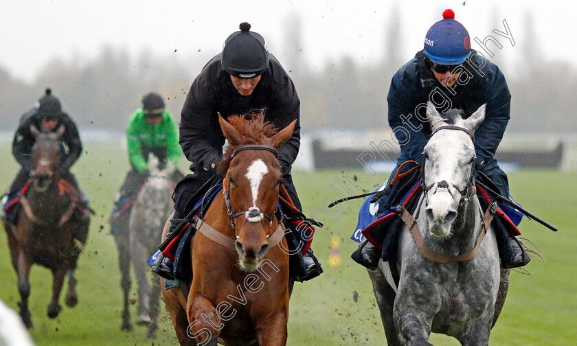 Caldwell-Potter-and-Captain-Teague-0001 
 CALDWELL POTTER (right) and CAPTAIN TEAGUE (left)
Coral Gold Cup gallops morning Newbury 19 Nov 20234 - Pic Steven Cargill / Racingfotos.com