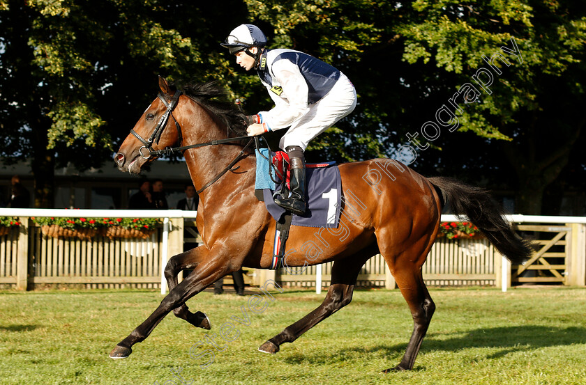 Albert-Finney-0001 
 ALBERT FINNEY (Robert Havlin)
Newmarket 10 Aug 2018 - Pic Steven Cargill / Racingfotos.com