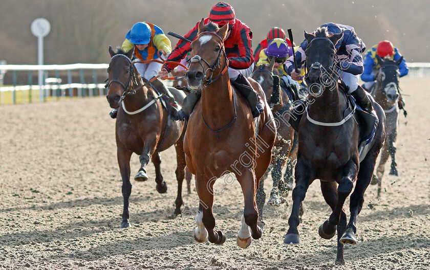 Fields-Of-Dreams-0003 
 FIELDS OF DREAMS (left, Jason Watson) beats THECHILDREN'STRUST (right) in The Bombardier British Hopped Amber Beer Handicap
Lingfield 11 Dec 2019 - Pic Steven Cargill / Racingfotos.com