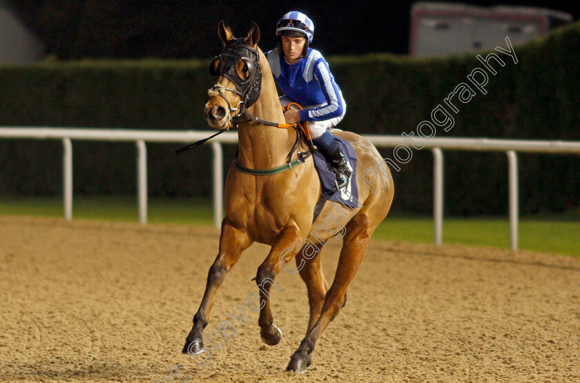 But-I-Like-It-0001 
 BUT I LIKE IT (Darragh Keenan)
Wolverhampton 19 Dec 2019 - Pic Steven Cargill / Racingfotos.com