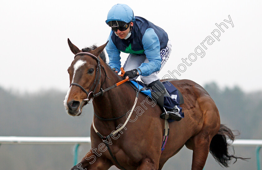 Melakaz-0005 
 MELAKAZ (Marco Ghiani) wins The Betway Handicap
Lingfield 25 Jan 2022 - Pic Steven Cargill / Racingfotos.com