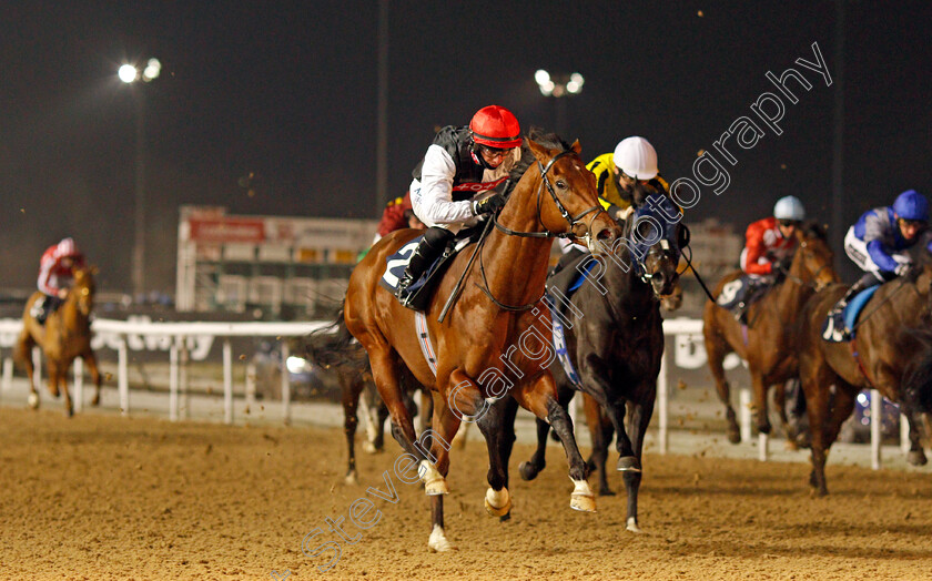 Alto-Volante-0007 
 ALTO VOLANTE (Tom Marquand) wins The Get Your Ladbrokes Odds Boost Novice Stakes
Wolverhampton 7 Jan 2021 - Pic Steven Cargill / Racingfotos.com