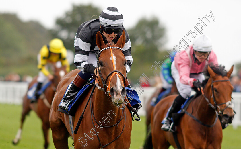 Piselli-Molli-0007 
 PISELLI MOLLI (Morgan Cole) wins The Byerley Stud Racing Excellence Apprentice Handicap
Salisbury 2 Sep 2021 - Pic Steven Cargill / Racingfotos.com