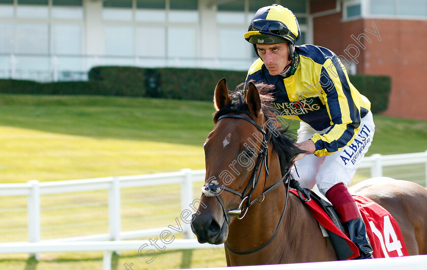 Willy-Nilly-0001 
 WILLY NILLY (Adam Kirby)
Sandown 30 Aug 2019 - Pic Steven Cargill / Racingfotos.com