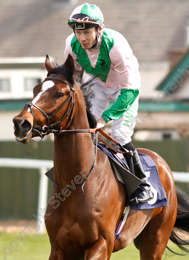 Dr-Jekyll-0001 
 DR JEKYLL (Jamie Spencer)
Yarmouth 23 Apr 2019 - Pic Steven Cargill / Racingfotos.com