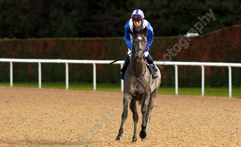 Jahaafel-0001 
 JAHAAFEL (Dane O'Neill) 
Wolverhampton 5 Sep 2018 - Pic Steven Cargill / Racingfotos.com